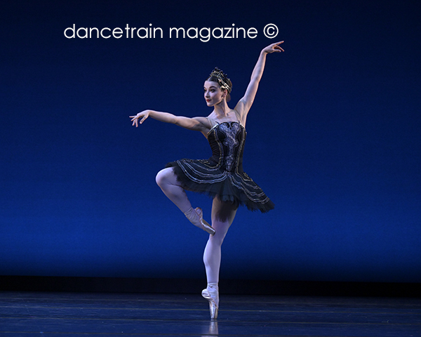 Articles - 5 Productions Inspired by Swan Lake